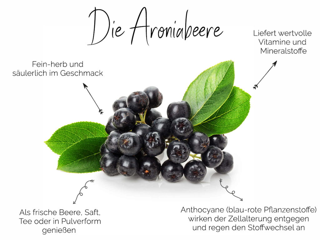 Die Aroniabeere